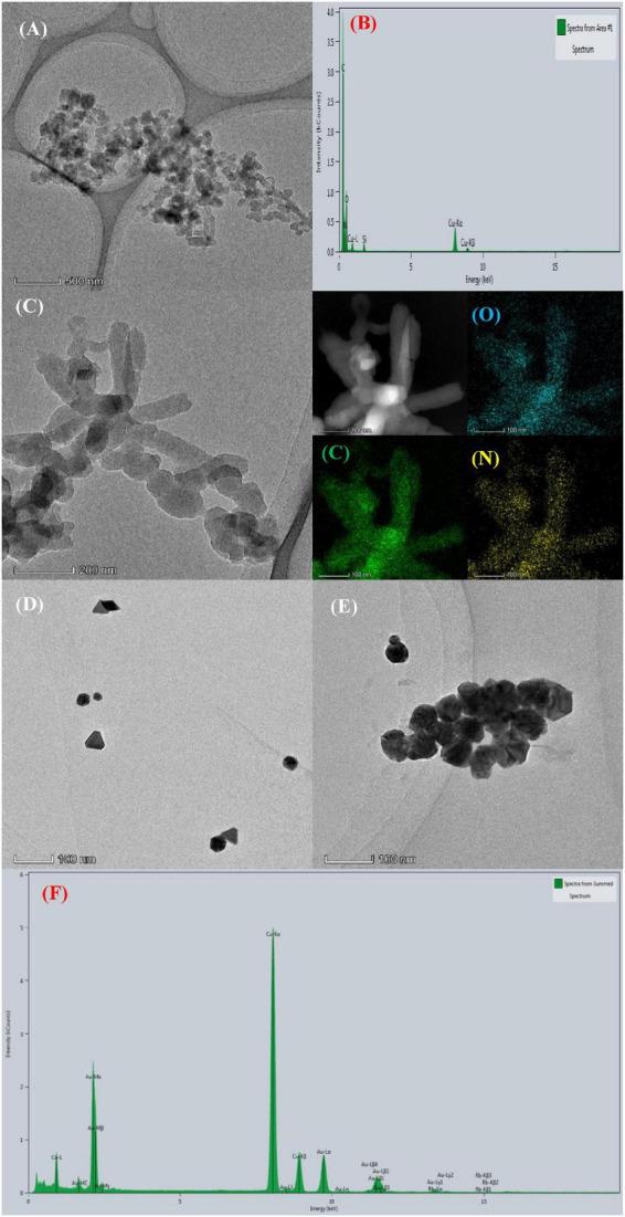https://cdn.ncbi.nlm.nih.gov/pmc/blobs/8bb4/9870315/d98317ddf030/fnut-09-1075296-g002.jpg