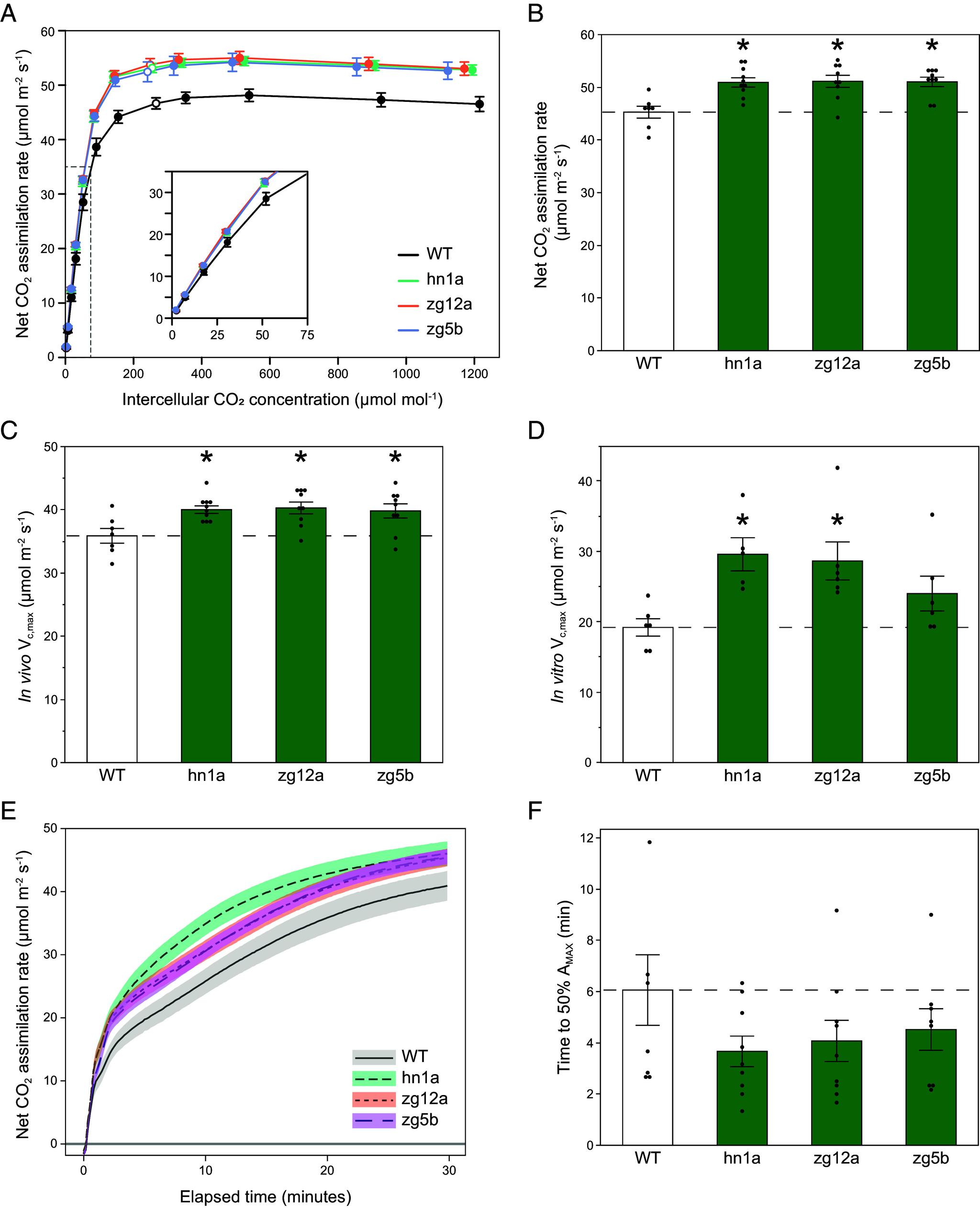 https://cdn.ncbi.nlm.nih.gov/pmc/blobs/8bb5/11873827/7d70673ce958/pnas.2419943122fig02.jpg