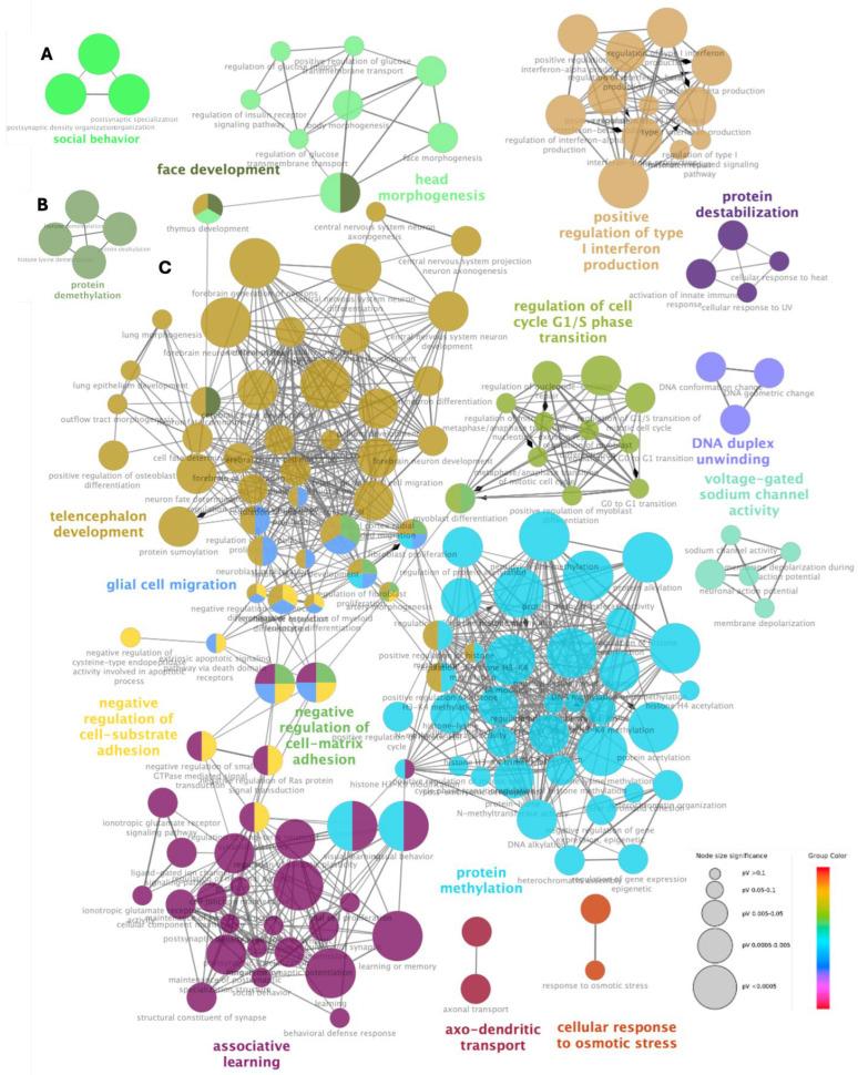 https://cdn.ncbi.nlm.nih.gov/pmc/blobs/8bb7/11816732/d0ad9f660239/diagnostics-15-00376-g003.jpg