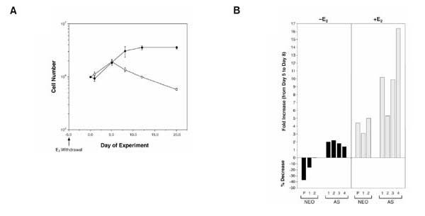 https://cdn.ncbi.nlm.nih.gov/pmc/blobs/8bb7/13916/34ea895ea90e/bcr-2-2-139-2.jpg