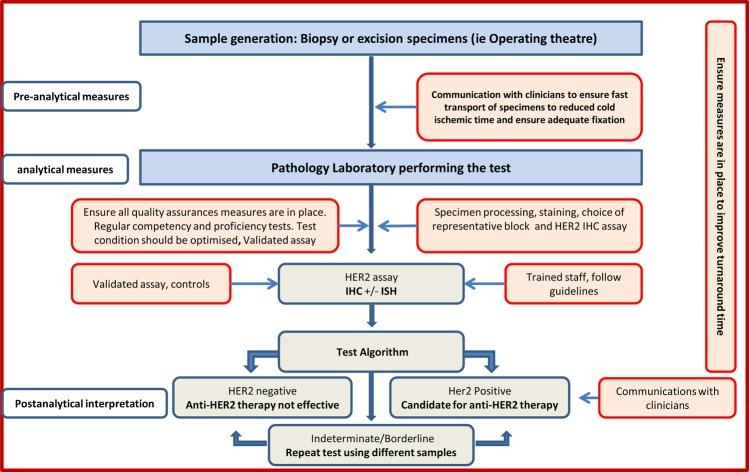 https://cdn.ncbi.nlm.nih.gov/pmc/blobs/8bb7/4316916/3c9c7c4c69b8/jclinpath-2014-202571f02.jpg