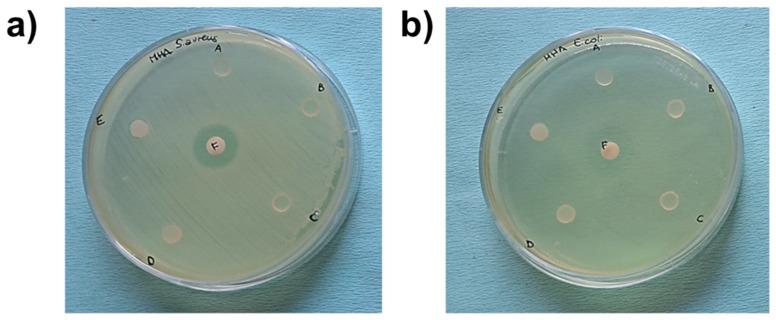 https://cdn.ncbi.nlm.nih.gov/pmc/blobs/8bb8/11054656/81e521c75d0b/polymers-16-01046-g006.jpg