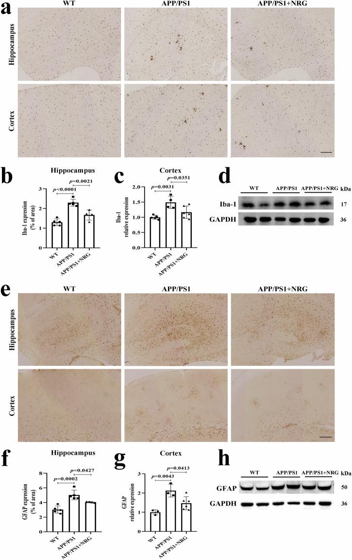 https://cdn.ncbi.nlm.nih.gov/pmc/blobs/8bb9/11284210/a651f95bea33/42003_2024_6615_Fig3_HTML.jpg