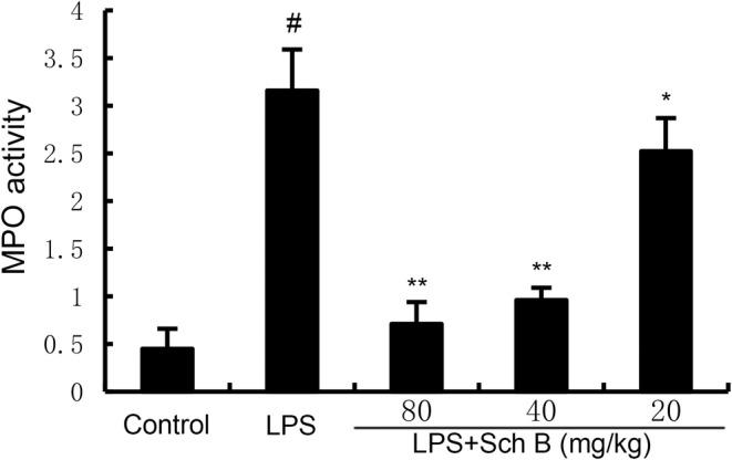 https://cdn.ncbi.nlm.nih.gov/pmc/blobs/8bbe/11628352/0757c99b638a/JCMM-28-e70281-g005.jpg