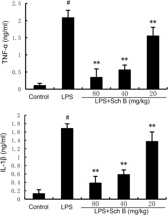 https://cdn.ncbi.nlm.nih.gov/pmc/blobs/8bbe/11628352/87f422a07020/JCMM-28-e70281-g007.jpg