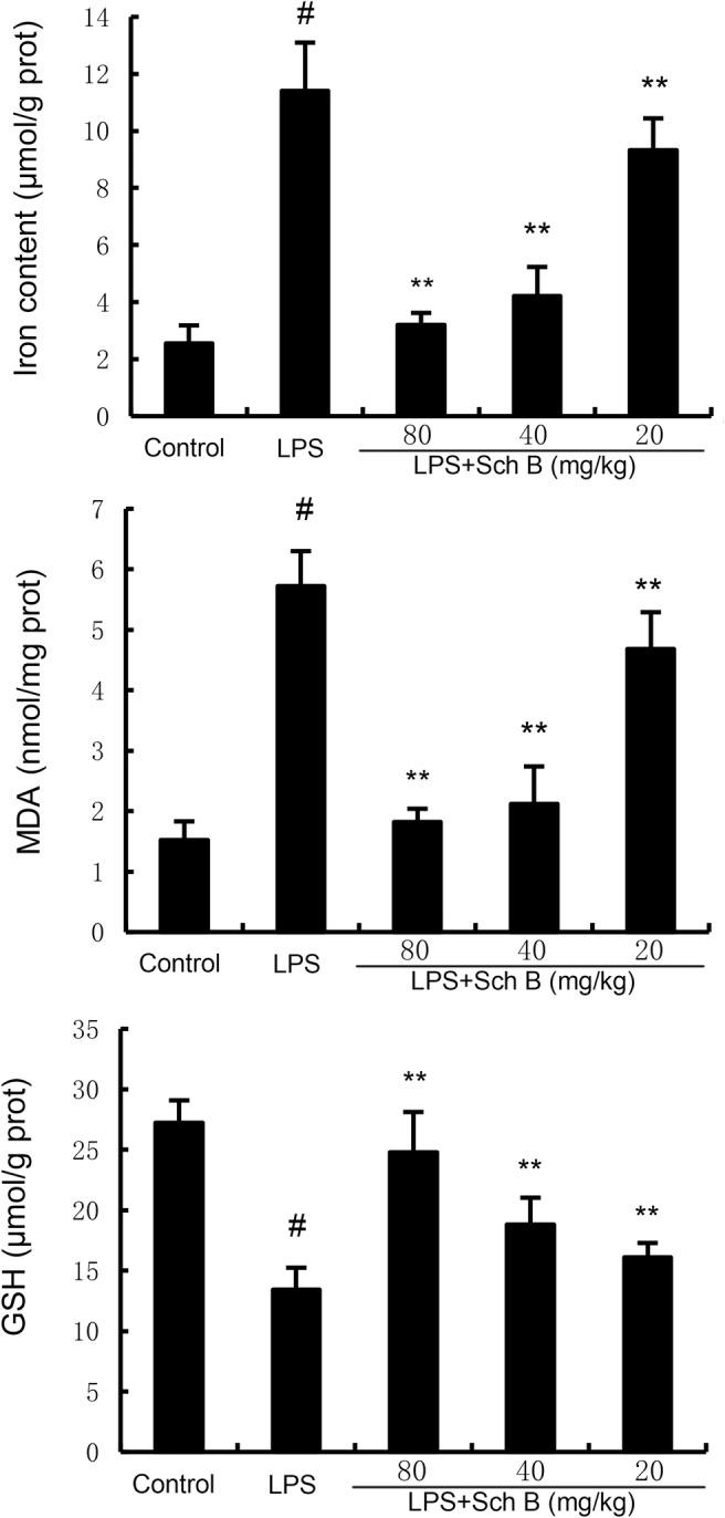 https://cdn.ncbi.nlm.nih.gov/pmc/blobs/8bbe/11628352/ca23ba2c9a9b/JCMM-28-e70281-g006.jpg