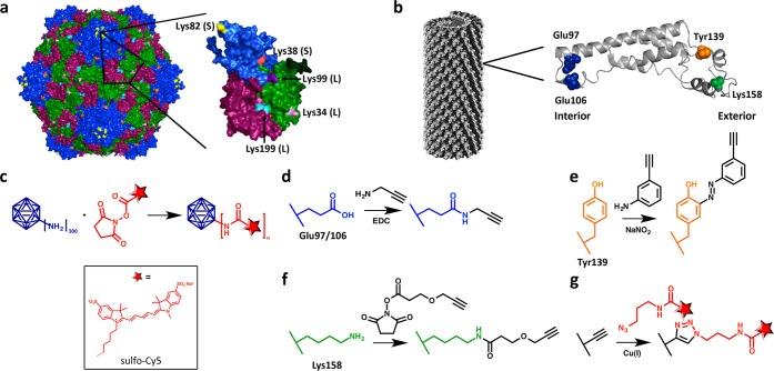 https://cdn.ncbi.nlm.nih.gov/pmc/blobs/8bc0/4306514/22e0b7ed2138/bc-2014-00524f_0001.jpg