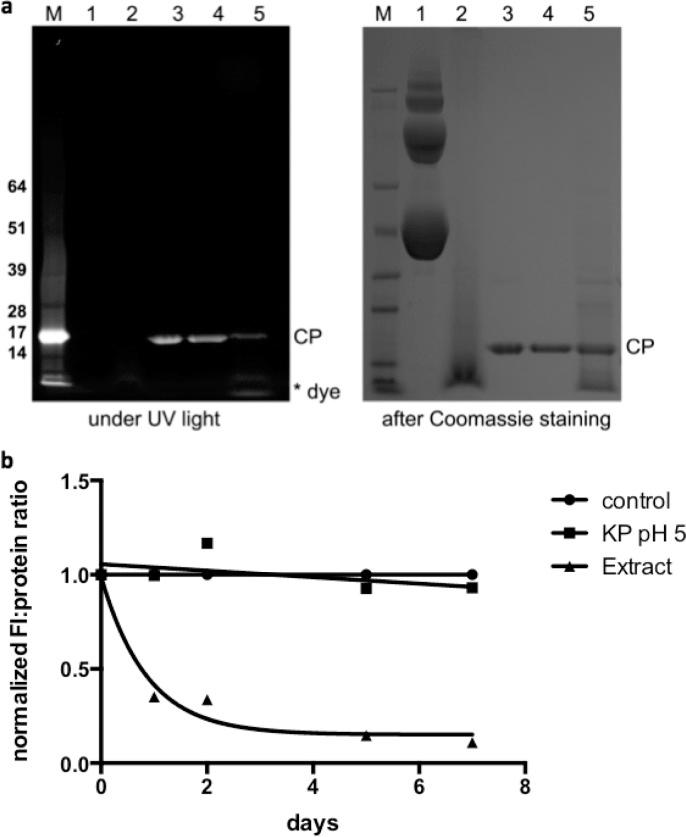 https://cdn.ncbi.nlm.nih.gov/pmc/blobs/8bc0/4306514/7574479bcb9f/bc-2014-00524f_0006.jpg