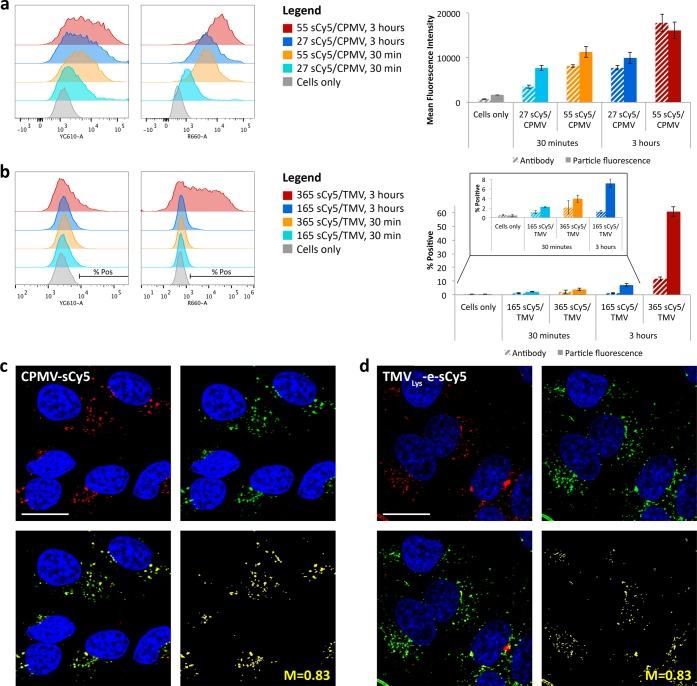 https://cdn.ncbi.nlm.nih.gov/pmc/blobs/8bc0/4306514/f75e26989d9c/bc-2014-00524f_0005.jpg