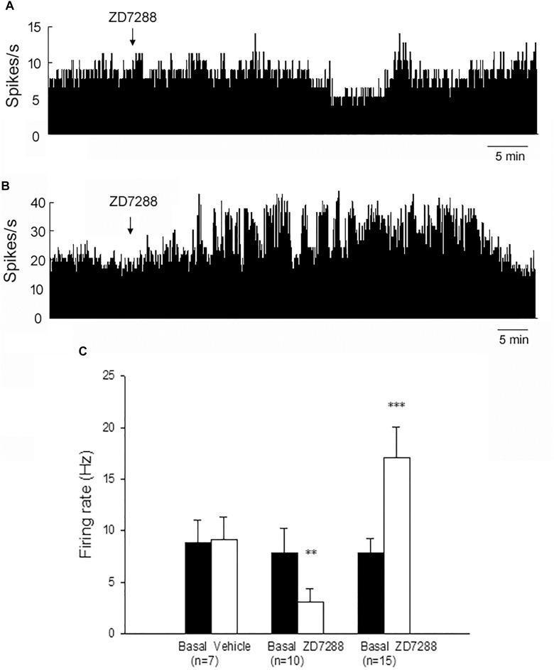 https://cdn.ncbi.nlm.nih.gov/pmc/blobs/8bc0/6670024/fe975a04ae0d/fnagi-11-00190-g003.jpg
