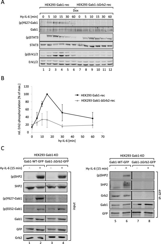 https://cdn.ncbi.nlm.nih.gov/pmc/blobs/8bc1/6814103/1dc8c2c80545/12964_2019_451_Fig7_HTML.jpg