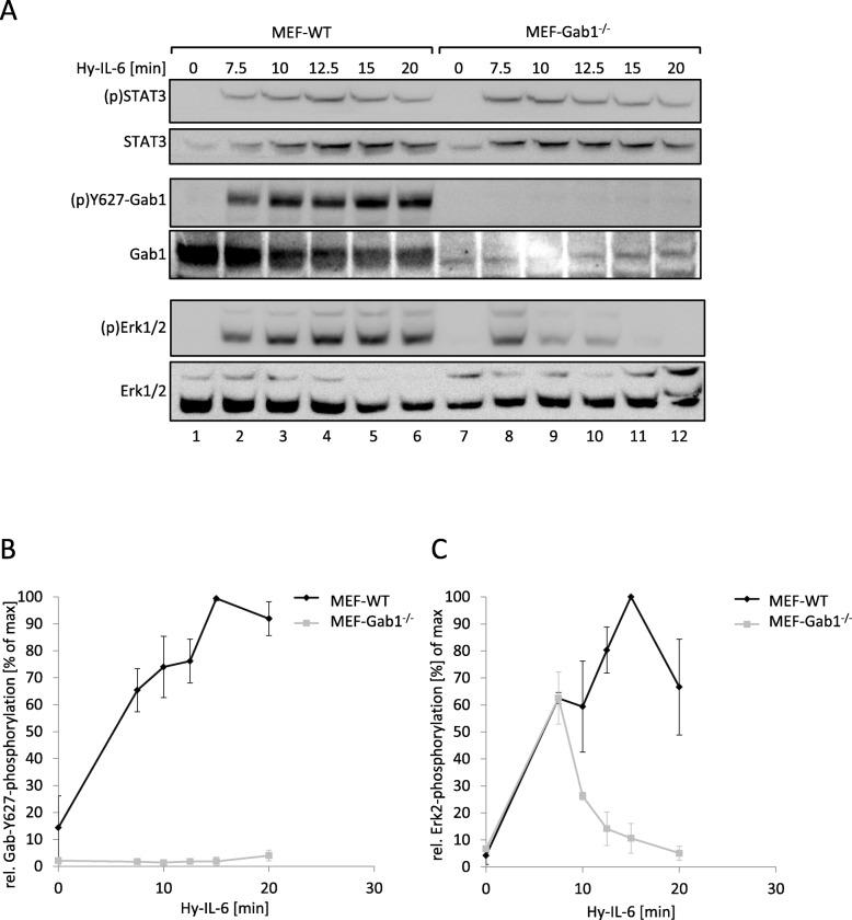 https://cdn.ncbi.nlm.nih.gov/pmc/blobs/8bc1/6814103/4974208235db/12964_2019_451_Fig1_HTML.jpg