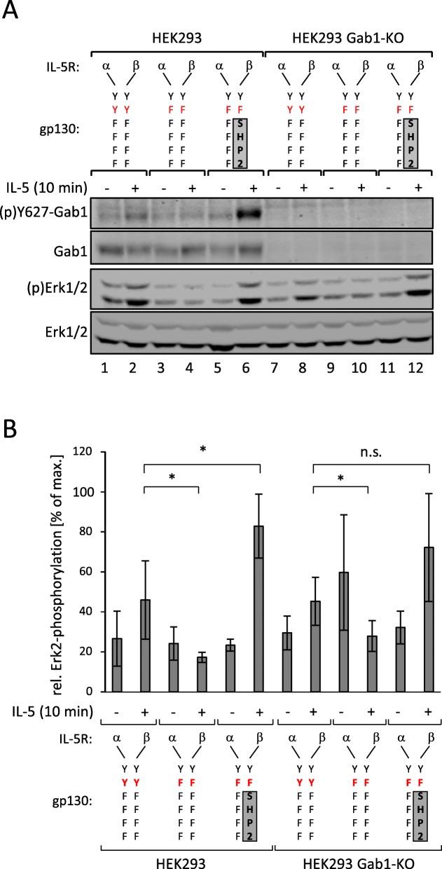 https://cdn.ncbi.nlm.nih.gov/pmc/blobs/8bc1/6814103/759a2a58224a/12964_2019_451_Fig4_HTML.jpg