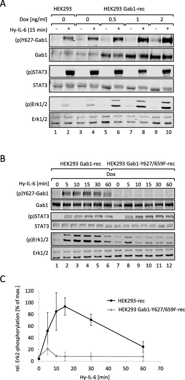 https://cdn.ncbi.nlm.nih.gov/pmc/blobs/8bc1/6814103/7a46af991662/12964_2019_451_Fig6_HTML.jpg