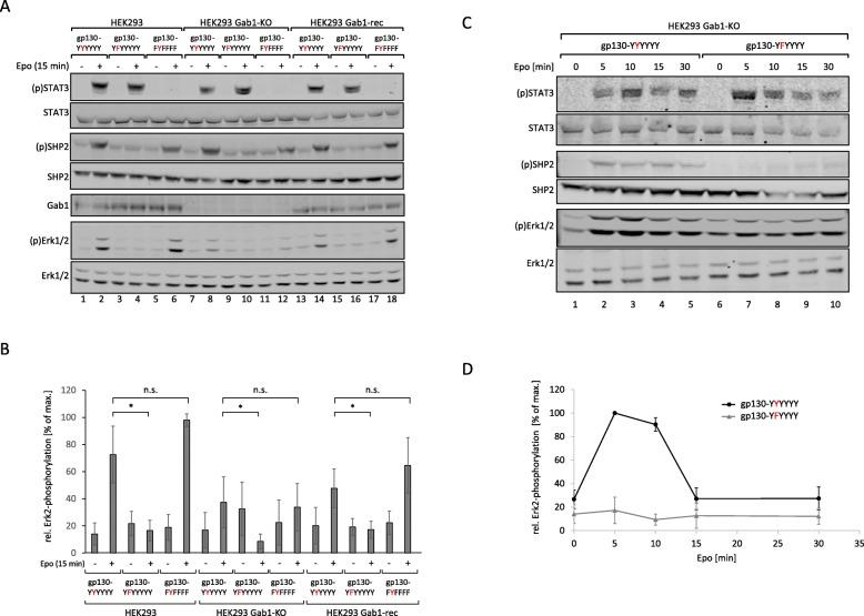 https://cdn.ncbi.nlm.nih.gov/pmc/blobs/8bc1/6814103/fe8ee8c37380/12964_2019_451_Fig3_HTML.jpg