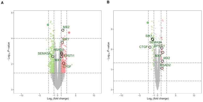https://cdn.ncbi.nlm.nih.gov/pmc/blobs/8bc1/8299280/18c2258fa988/fgene-12-680369-g001.jpg