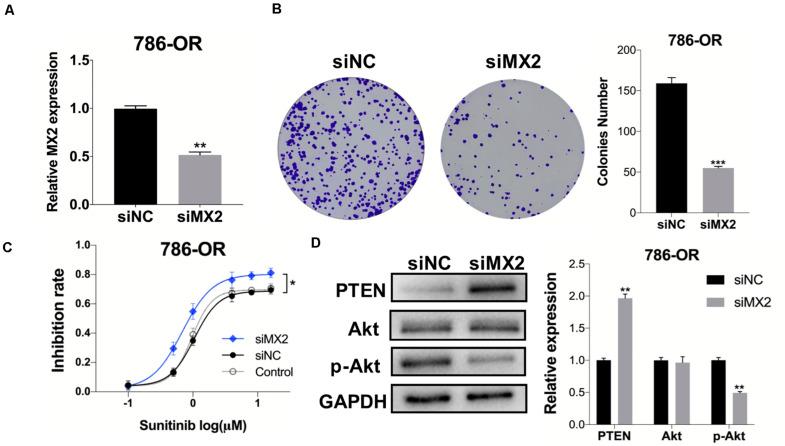 https://cdn.ncbi.nlm.nih.gov/pmc/blobs/8bc1/8299280/1fb52518f976/fgene-12-680369-g008.jpg