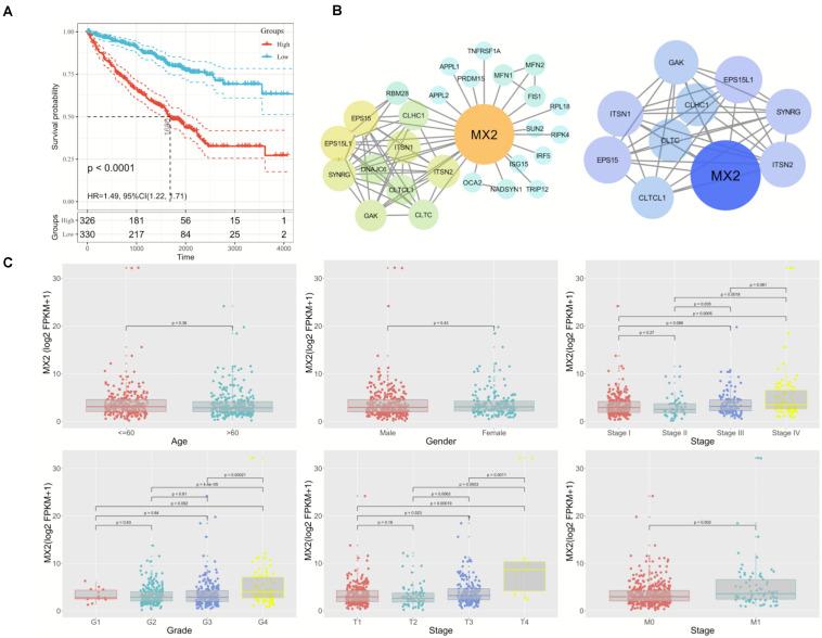 https://cdn.ncbi.nlm.nih.gov/pmc/blobs/8bc1/8299280/38a229136daa/fgene-12-680369-g005.jpg