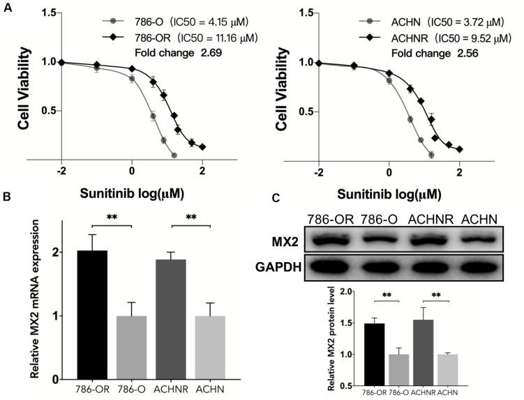 https://cdn.ncbi.nlm.nih.gov/pmc/blobs/8bc1/8299280/bcb06822c02d/fgene-12-680369-g007.jpg