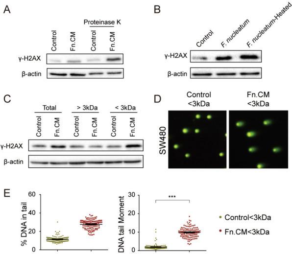 https://cdn.ncbi.nlm.nih.gov/pmc/blobs/8bc4/11438217/125a72087dd7/13099_2024_640_Fig5_HTML.jpg