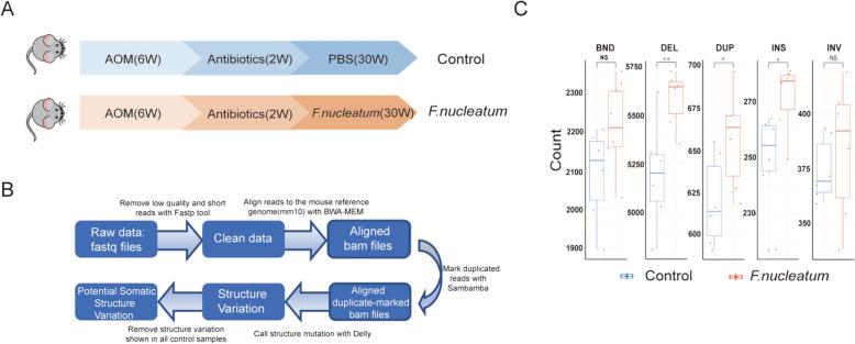 https://cdn.ncbi.nlm.nih.gov/pmc/blobs/8bc4/11438217/9005055e0455/13099_2024_640_Fig3_HTML.jpg