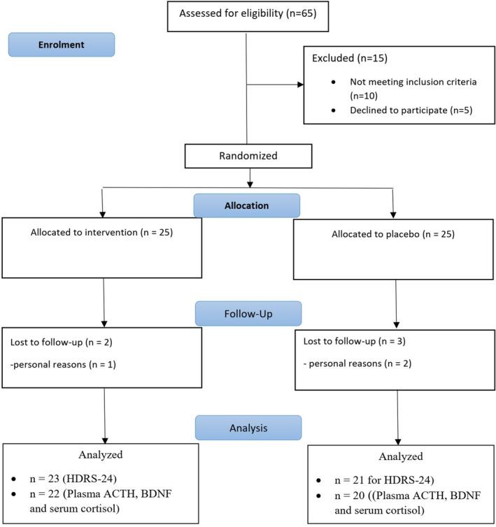 https://cdn.ncbi.nlm.nih.gov/pmc/blobs/8bc5/11961381/3eada6799db5/FSN3-13-e4698-g003.jpg
