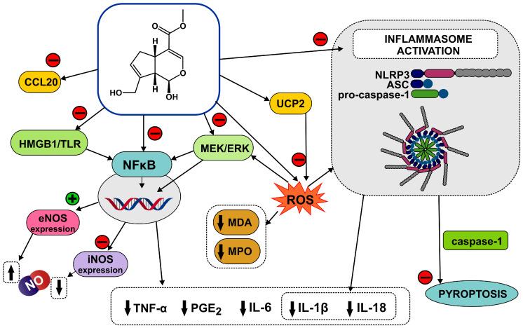 https://cdn.ncbi.nlm.nih.gov/pmc/blobs/8bc7/11856651/a87760591197/life-15-00159-g004.jpg