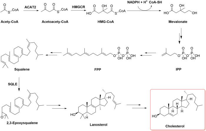 https://cdn.ncbi.nlm.nih.gov/pmc/blobs/8bc9/10545798/7a23d1debe33/12276_2023_1079_Fig2_HTML.jpg