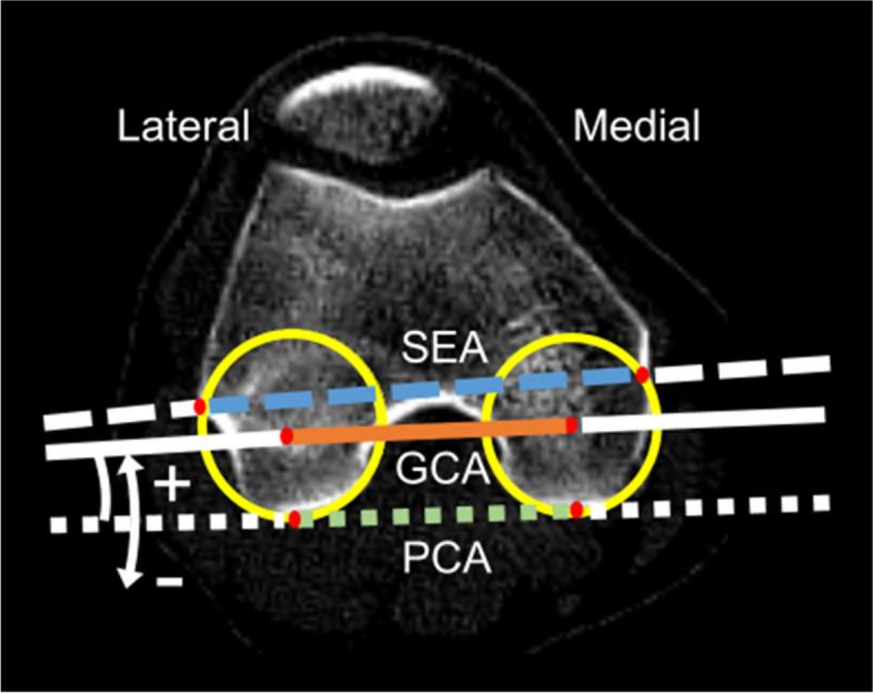 https://cdn.ncbi.nlm.nih.gov/pmc/blobs/8bcb/10676339/73fdbffcc547/40634_2023_686_Fig3_HTML.jpg