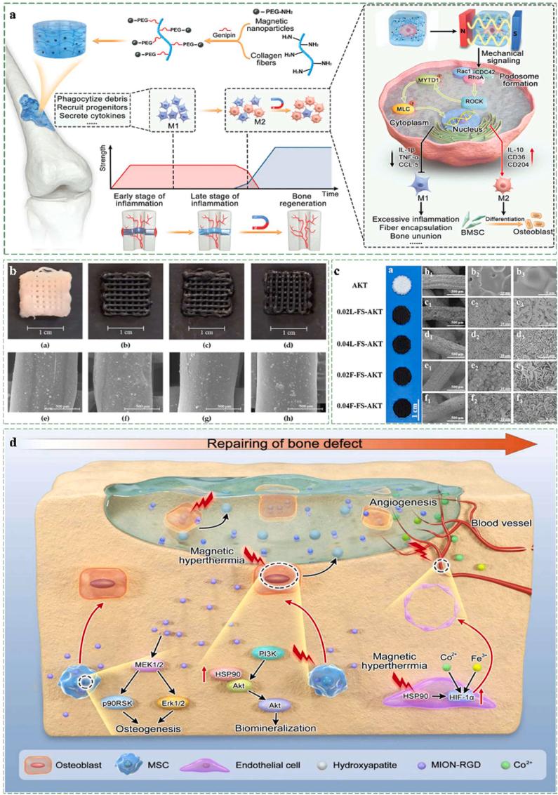 https://cdn.ncbi.nlm.nih.gov/pmc/blobs/8bcd/12320187/79902ea66f5c/gr9.jpg