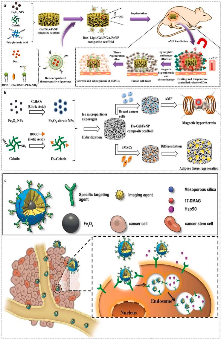 https://cdn.ncbi.nlm.nih.gov/pmc/blobs/8bcd/12320187/b1a02dfa2c16/gr5.jpg