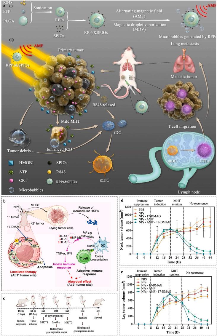 https://cdn.ncbi.nlm.nih.gov/pmc/blobs/8bcd/12320187/d5b4ee4d232b/gr8.jpg