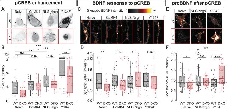 https://cdn.ncbi.nlm.nih.gov/pmc/blobs/8bcd/7447270/744b512cbc33/pbio.3000826.g007.jpg
