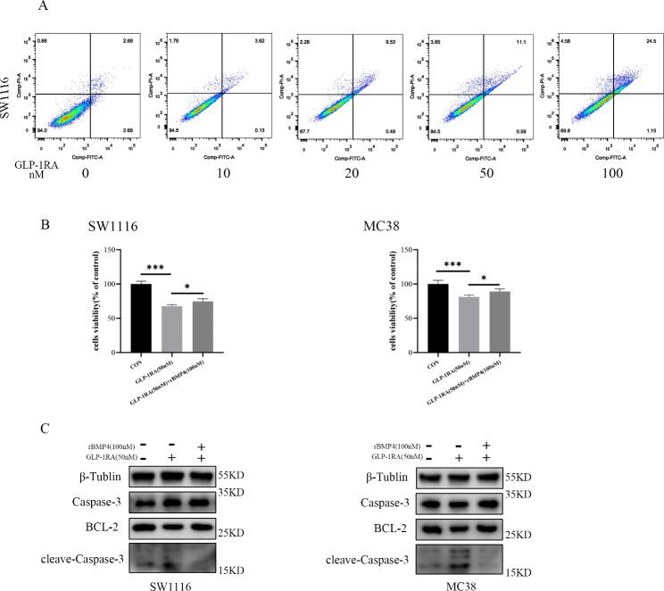 https://cdn.ncbi.nlm.nih.gov/pmc/blobs/8bce/10304216/139c7b6a5f75/12885_2023_11077_Fig4_HTML.jpg