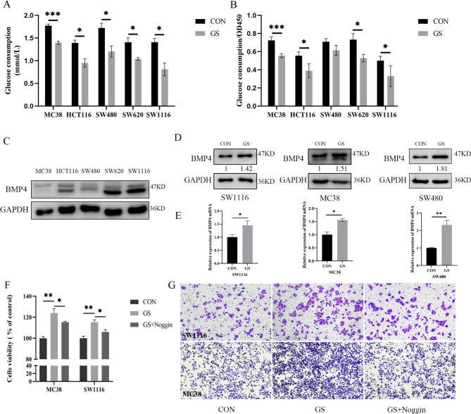 https://cdn.ncbi.nlm.nih.gov/pmc/blobs/8bce/10304216/337a96ad77f5/12885_2023_11077_Fig6_HTML.jpg