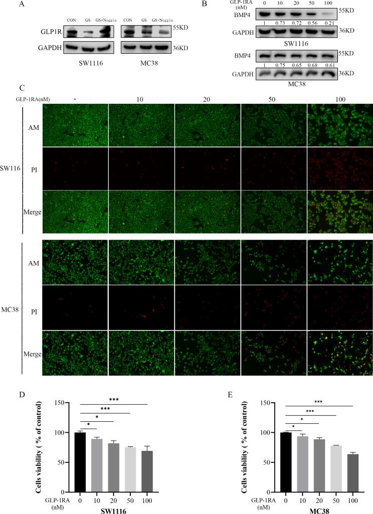 https://cdn.ncbi.nlm.nih.gov/pmc/blobs/8bce/10304216/403bb0f1317d/12885_2023_11077_Fig7_HTML.jpg