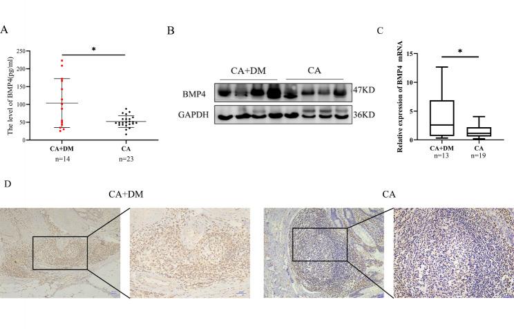 https://cdn.ncbi.nlm.nih.gov/pmc/blobs/8bce/10304216/a7971b1ae8f6/12885_2023_11077_Fig2_HTML.jpg