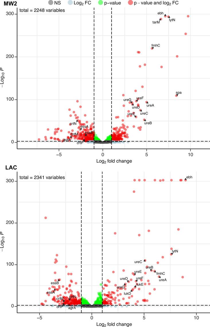 https://cdn.ncbi.nlm.nih.gov/pmc/blobs/8bce/12245174/58a4295c5ce8/elife-102743-fig4.jpg