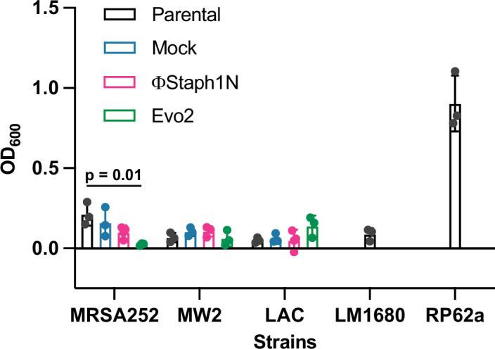 https://cdn.ncbi.nlm.nih.gov/pmc/blobs/8bce/12245174/8103a5cb0e4b/elife-102743-fig5-figsupp1.jpg