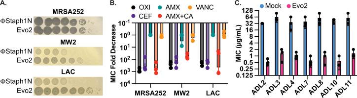 https://cdn.ncbi.nlm.nih.gov/pmc/blobs/8bce/12245174/c2c2a27b2c43/elife-102743-fig2.jpg