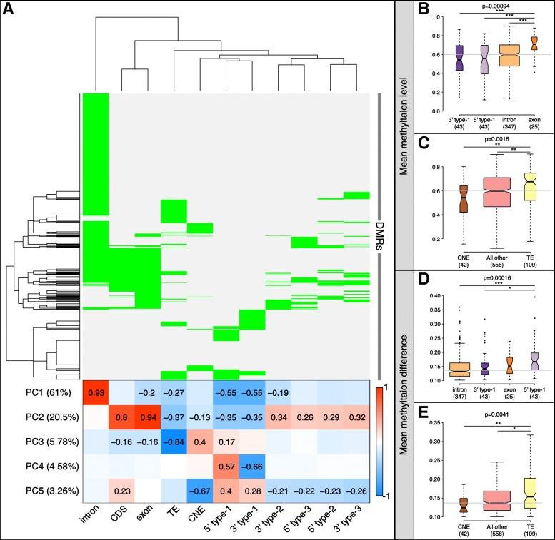 https://cdn.ncbi.nlm.nih.gov/pmc/blobs/8bcf/6737626/8467209bd196/12864_2019_6047_Fig3_HTML.jpg