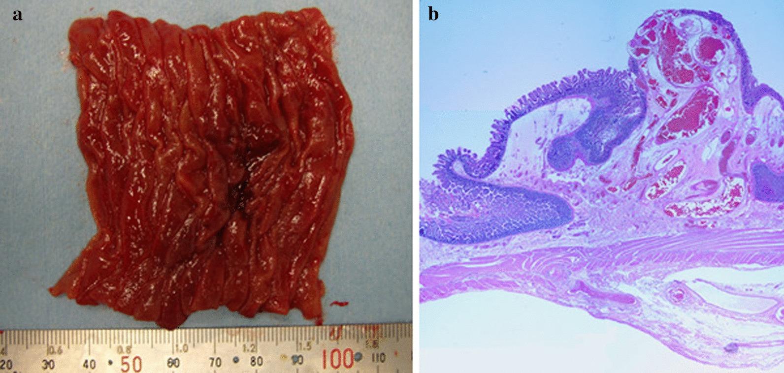 https://cdn.ncbi.nlm.nih.gov/pmc/blobs/8bcf/7603661/af147af6bdd7/12893_2020_924_Fig3_HTML.jpg