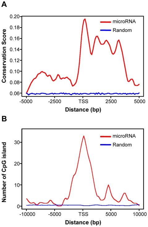 https://cdn.ncbi.nlm.nih.gov/pmc/blobs/8bd0/2970572/38b2420227b4/pone.0013798.g006.jpg