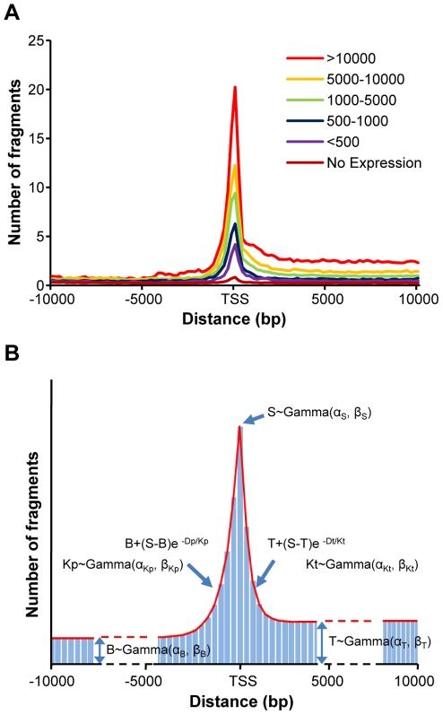 https://cdn.ncbi.nlm.nih.gov/pmc/blobs/8bd0/2970572/84684ed179e8/pone.0013798.g002.jpg