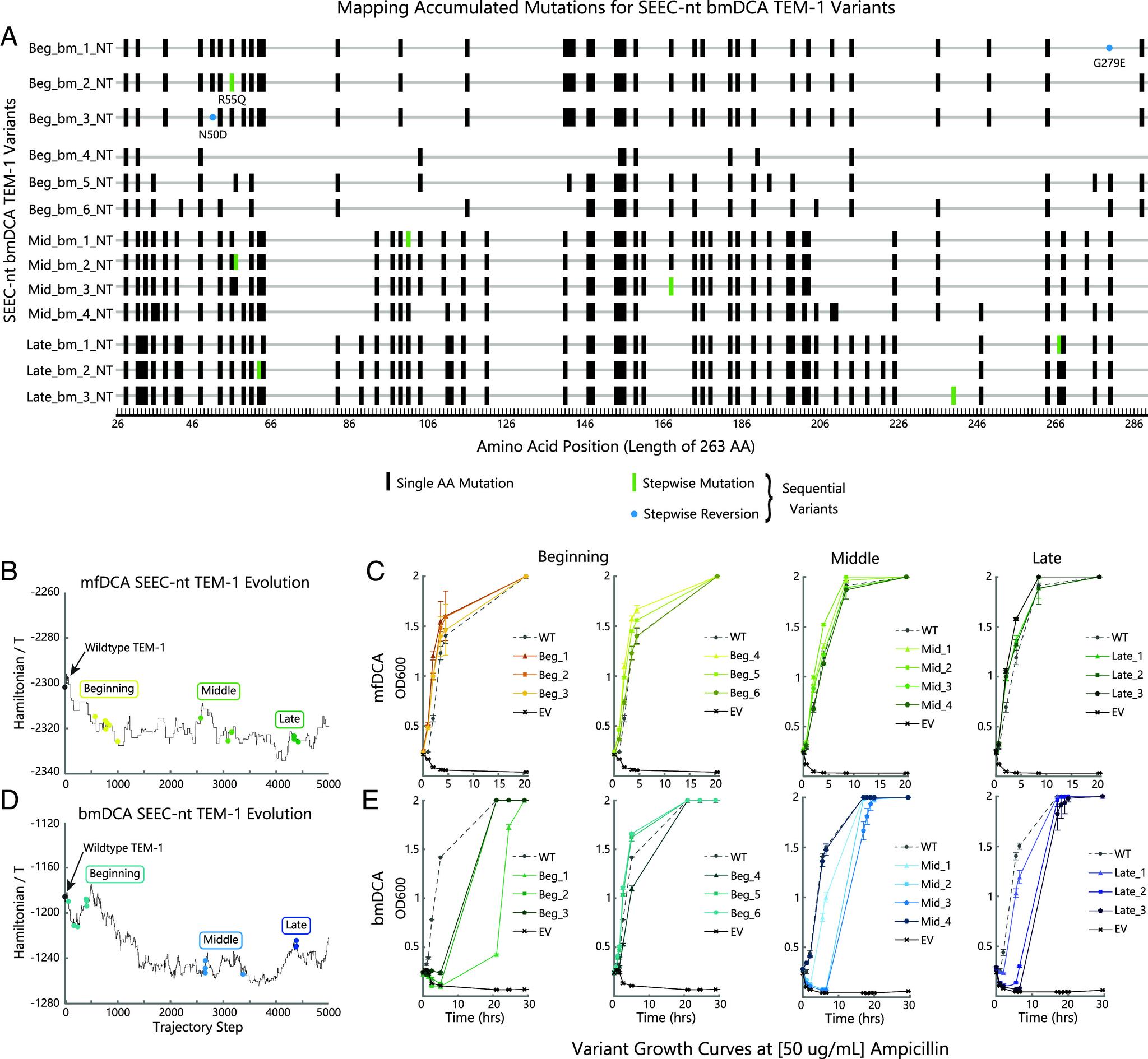 https://cdn.ncbi.nlm.nih.gov/pmc/blobs/8bd2/10861889/254e986cde41/pnas.2308895121fig02.jpg