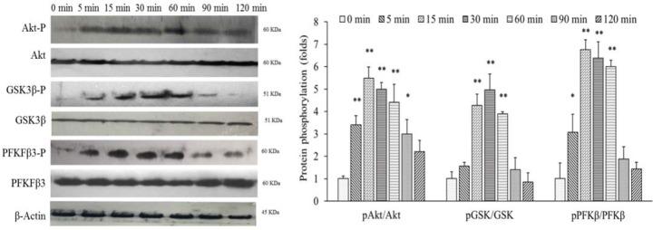 https://cdn.ncbi.nlm.nih.gov/pmc/blobs/8bd3/6714116/c3b2c4c65a69/RPS-14-369-g003.jpg