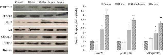 https://cdn.ncbi.nlm.nih.gov/pmc/blobs/8bd3/6714116/ca6a253641d8/RPS-14-369-g004.jpg