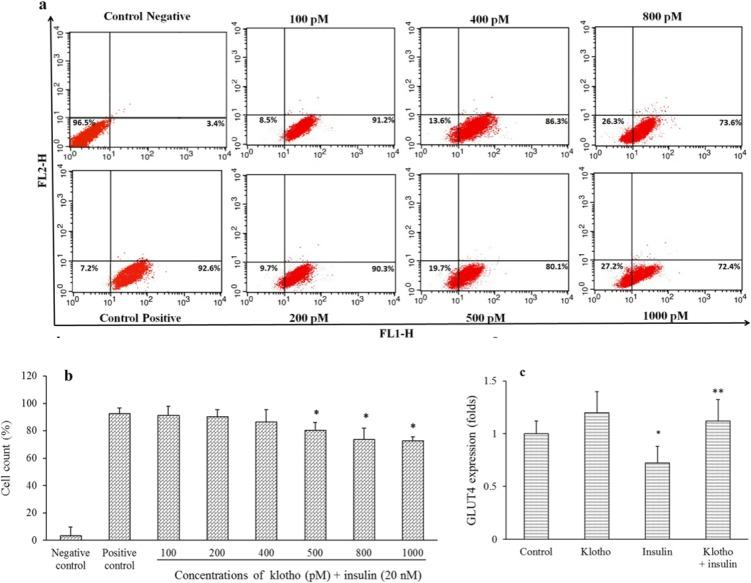 https://cdn.ncbi.nlm.nih.gov/pmc/blobs/8bd3/6714116/fabec79b5354/RPS-14-369-g002.jpg