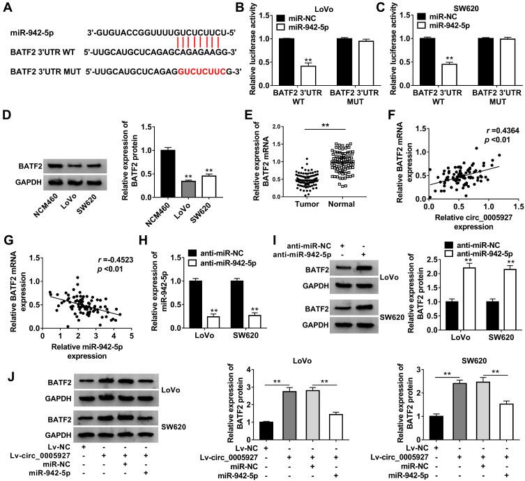 https://cdn.ncbi.nlm.nih.gov/pmc/blobs/8bd3/7959203/83f6a508a2f4/CMAR-13-2295-g0005.jpg