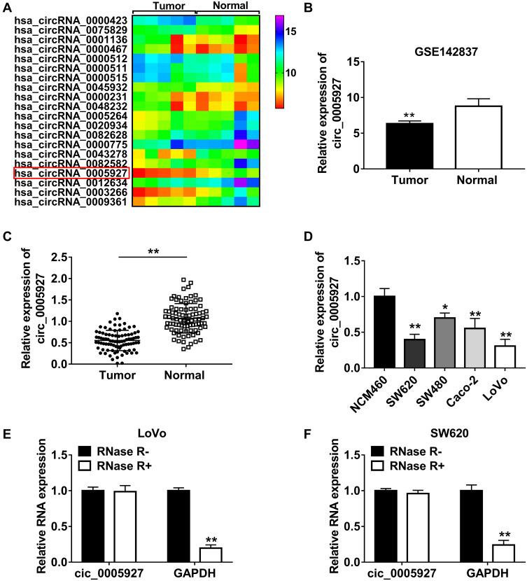 https://cdn.ncbi.nlm.nih.gov/pmc/blobs/8bd3/7959203/c2a77cdb4905/CMAR-13-2295-g0001.jpg